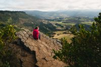 Organ Pipes Track, Mount Cargill Scenic Reserve