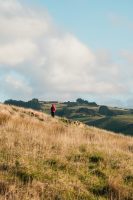 Heyward Point Track, Heyward Point