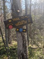 Hiking the CL50