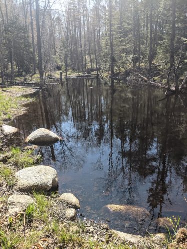 Hiking the CL50