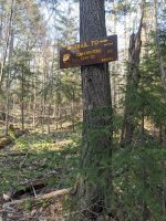 Cowhorn Pond side trail