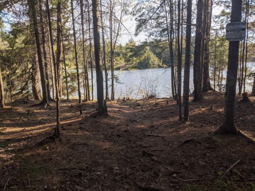 Cowhorn Pond campsite