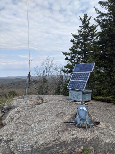 Cat Mtn summit