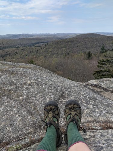 Views from Cat Mtn summit