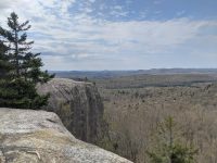 Views from Cat Mtn summit