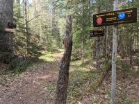 High Falls trail intersection