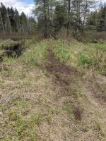 Wet terrain on the CL50