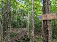 Cranberry Lake 50 / CL50 hike Cranberry Lake 50 / CL50 hike