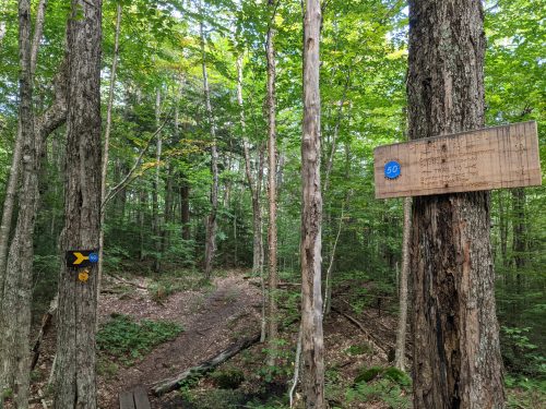 Cranberry Lake 50 / CL50 hike