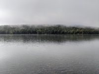Cranberry Lake 50 / CL50 hike: East Inlet Campsite 13 Cranberry Lake 50 / CL50 hike: East Inlet Campsite 13