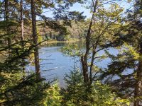 Cranberry Lake 50 / CL50 hike Cranberry Lake 50 / CL50 hike