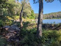 Cranberry Lake 50 / CL50 hike Cranberry Lake 50 / CL50 hike