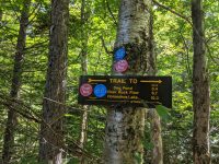 Cranberry Lake 50 / CL50 hike Cranberry Lake 50 / CL50 hike