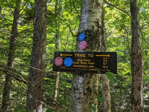 Cranberry Lake 50 / CL50 hike