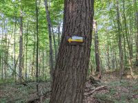 Cranberry Lake 50 / CL50 hike Cranberry Lake 50 / CL50 hike