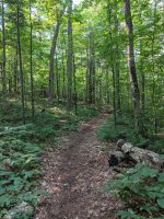 Cranberry Lake 50 / CL50 hike Cranberry Lake 50 / CL50 hike
