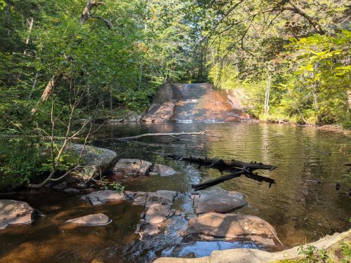 Cranberry Lake 50 / CL50 hike