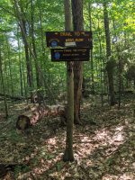 Cranberry Lake 50 / CL50 hike