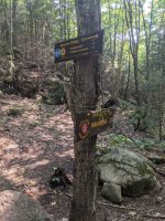 Cranberry Lake 50 / CL50 hike