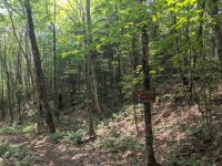 Cranberry Lake 50 / CL50 hike Cranberry Lake 50 / CL50 hike