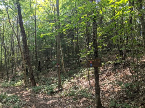 Cranberry Lake 50 / CL50 hike