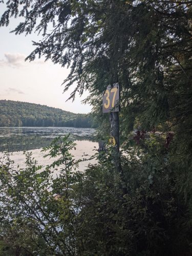 Cranberry Lake 50 / CL50 hike: Janacks Landing 37 campsite