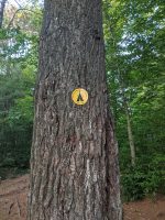 Cranberry Lake 50 / CL50 hike: Janacks Landing 37 campsite Cranberry Lake 50 / CL50 hike: Janacks Landing 37 campsite