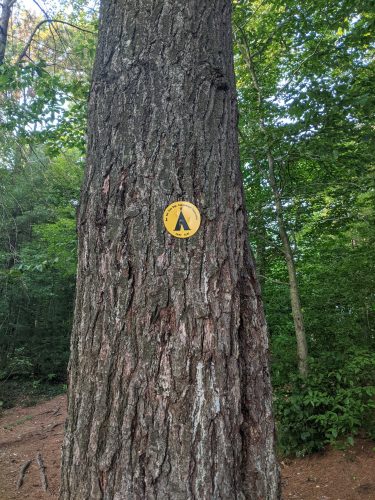 Cranberry Lake 50 / CL50 hike: Janacks Landing 37 campsite