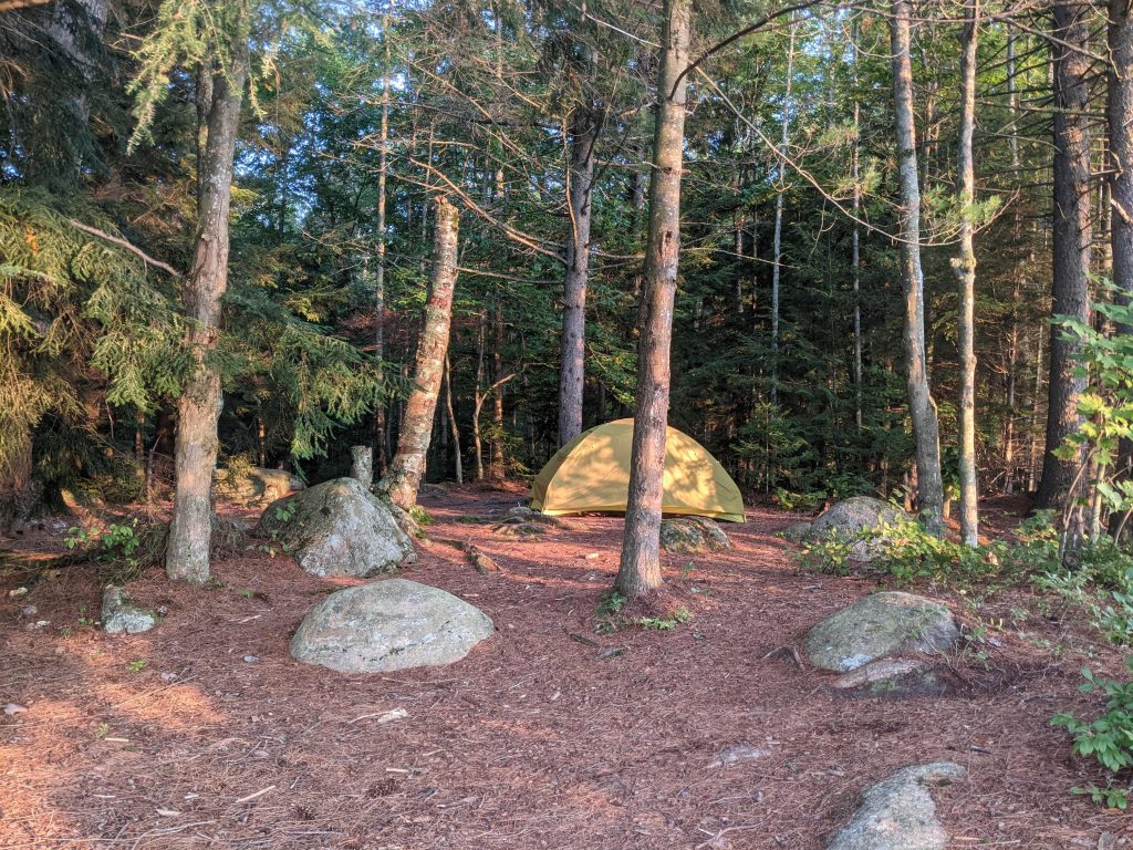 Cranberry Lake 50: Janacks Landing Campsite #37