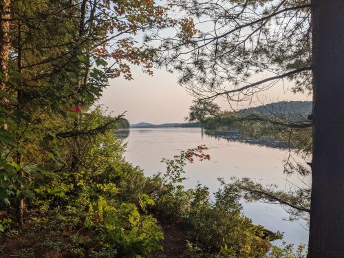 Cranberry Lake 50 / CL50 hike: Janacks Landing 37 campsite