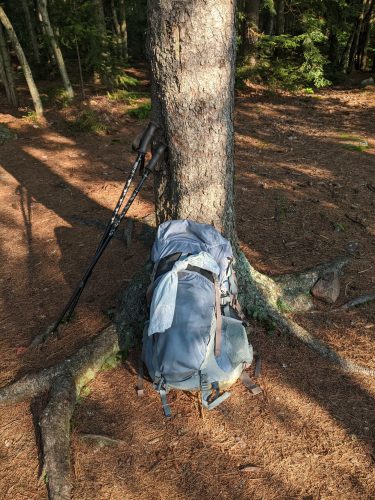 Cranberry Lake 50 / CL50 hike