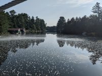 Cranberry Lake 50 / CL50 hike Cranberry Lake 50 / CL50 hike