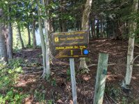 Cranberry Lake 50 / CL50 hike Cranberry Lake 50 / CL50 hike